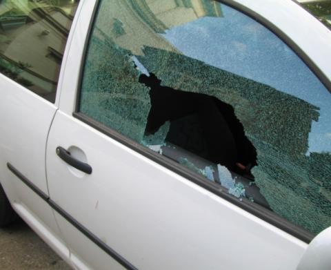 car theft